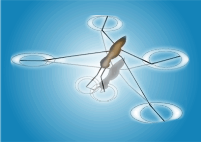 Illustration of an insect on the water's surface