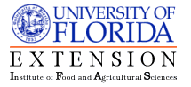 University of Florida