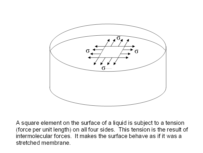 Diagram of a square element on the surface of a liquid showing surface tension acting on the edges.